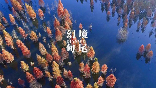 七日杀